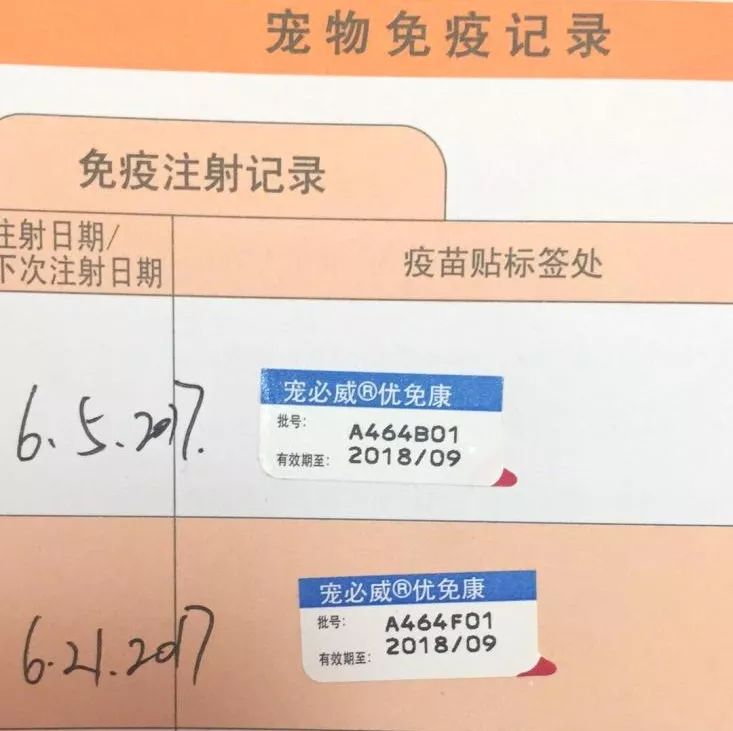 妈妈不得错过的接种疫苗小知识,关于乙肝疫苗接种知识