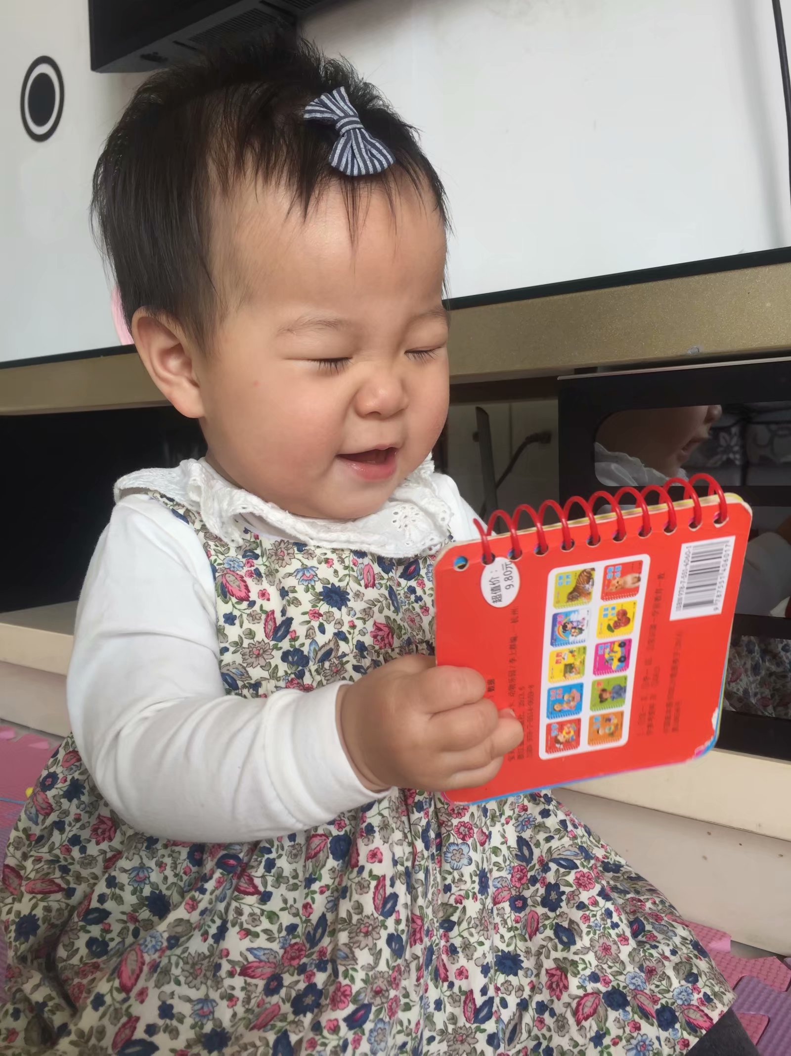 大籽墨玉和小籽墨玉区别,大籽和小籽