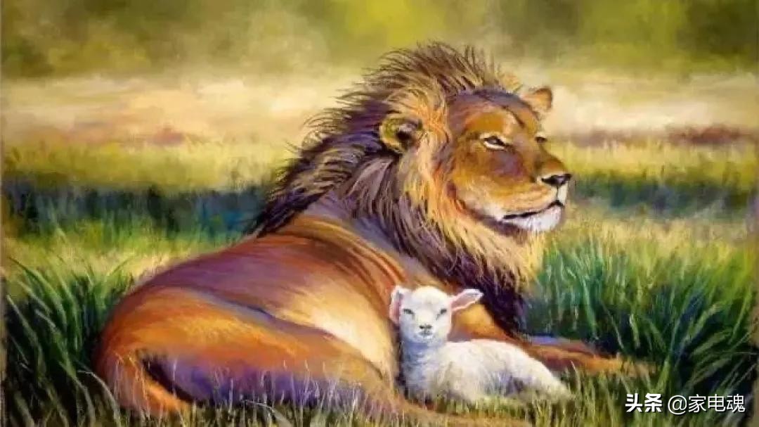 研究家电销售课题,家电零售商怎么破局