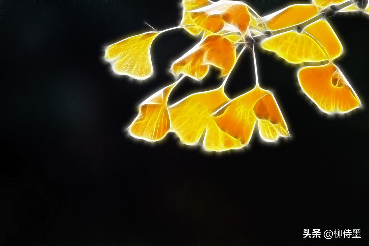 摄影新手如何拍摄照片教程,新手学习摄影入门第一步