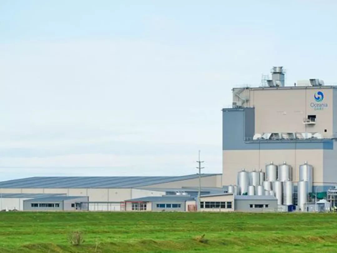 伊利新西兰牛奶,伊利未来牛奶谷基地