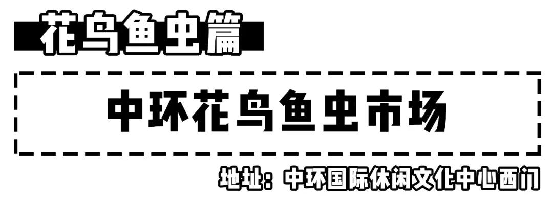 天津最便宜的批发市场在哪里,天津最大的批发市场一览表