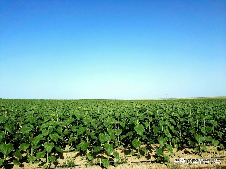 没有过不去的困难只是暂时的,心中有希望所以不再有哭泣