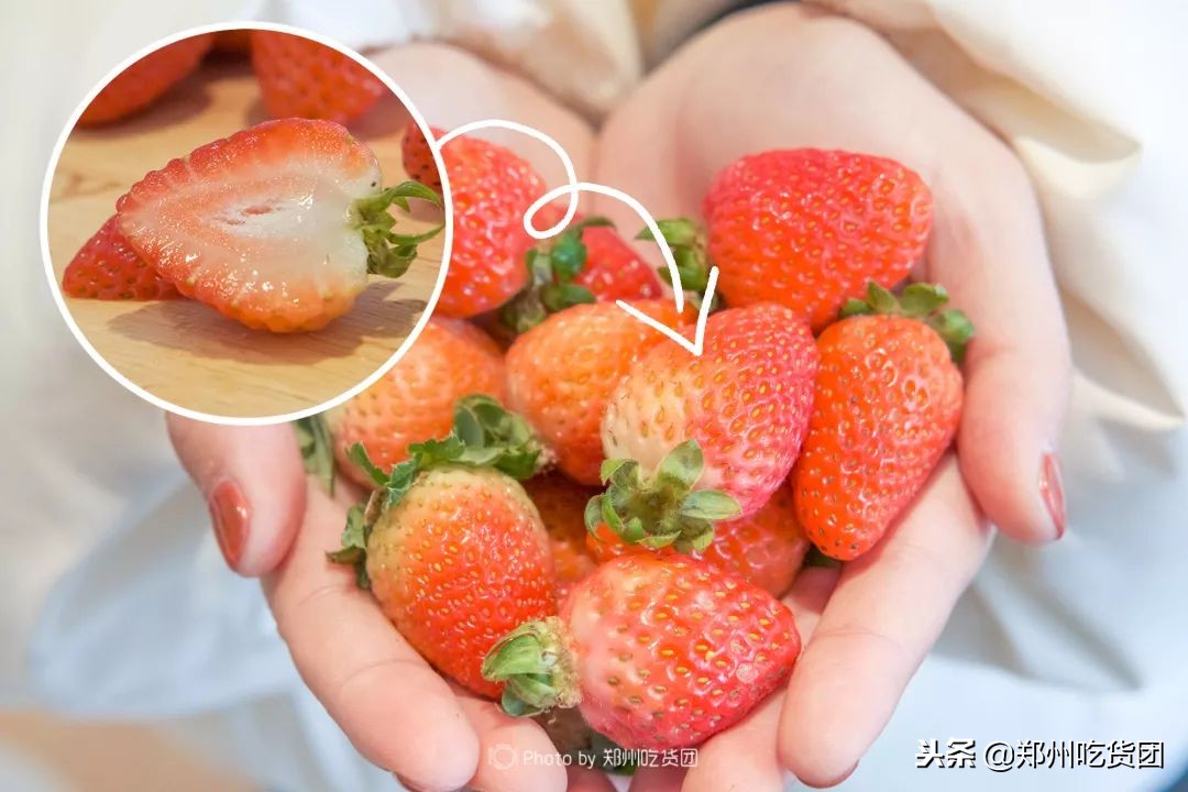 郑州喜茶,郑州第一家奶茶店