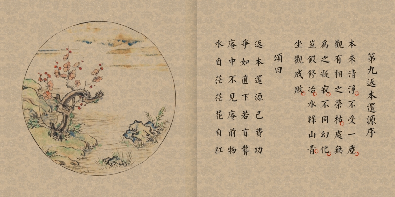 画说百年喜迎新春绘画,画说国学全套
