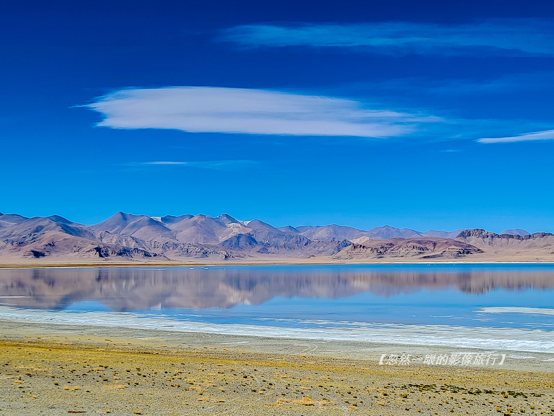 阿里无人区野狼出没,阿里无人区狐狸