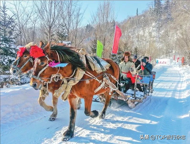 这才是真正的冰雪旅游,2021年冰雪旅游十大城市
