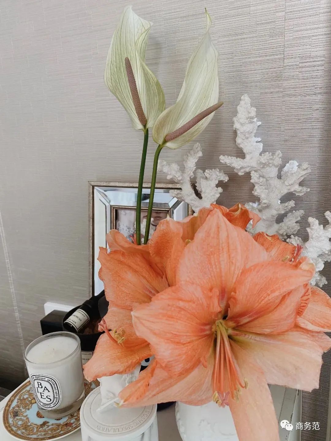 你都买过哪些超值好物,今年最值得错过的好物推荐