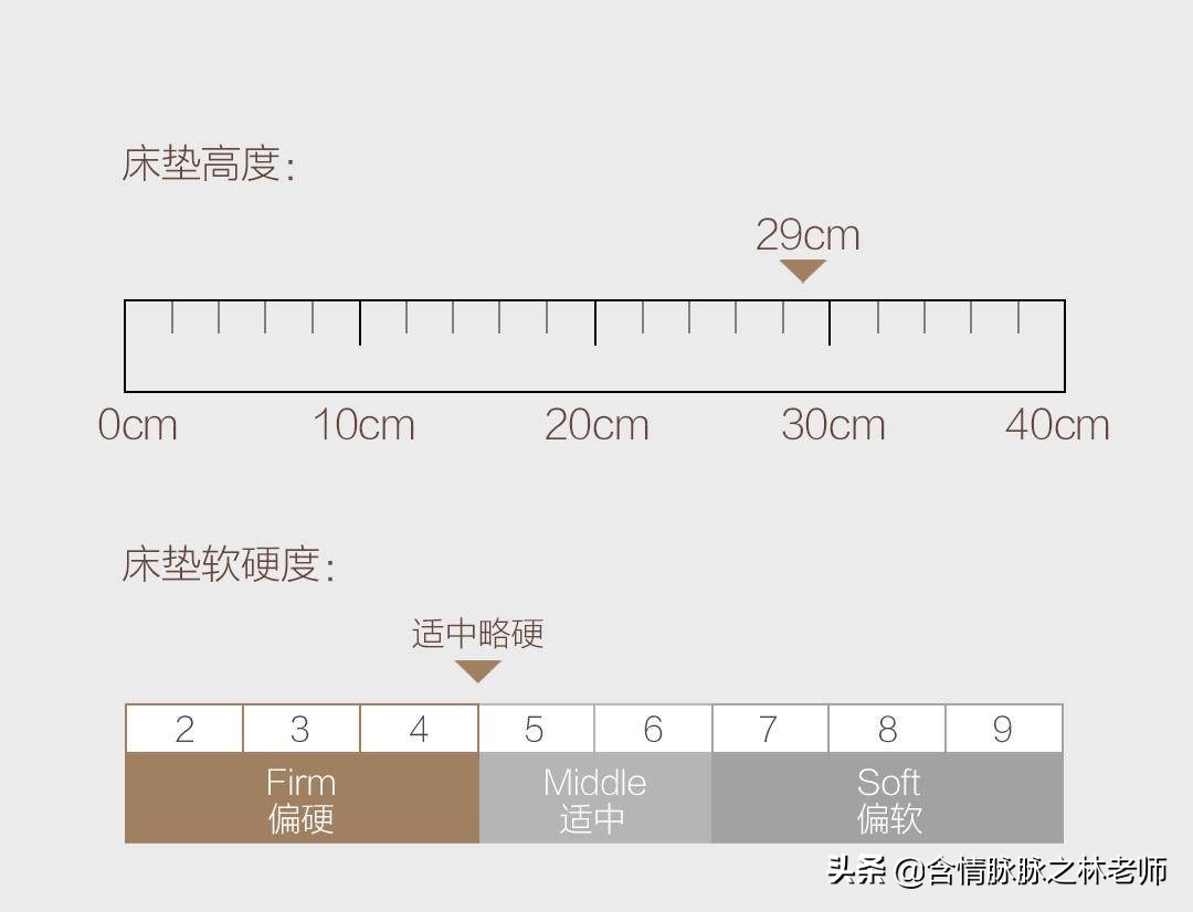乳胶床垫10cm品牌及商品,小米薄床垫硬垫推荐爆款