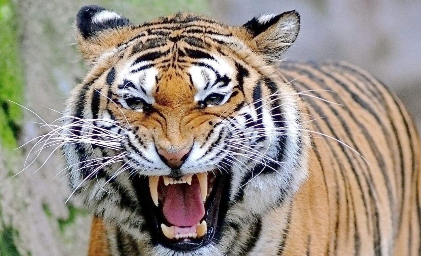 新四大火炉城是哪四个城市,新四大火炉城市