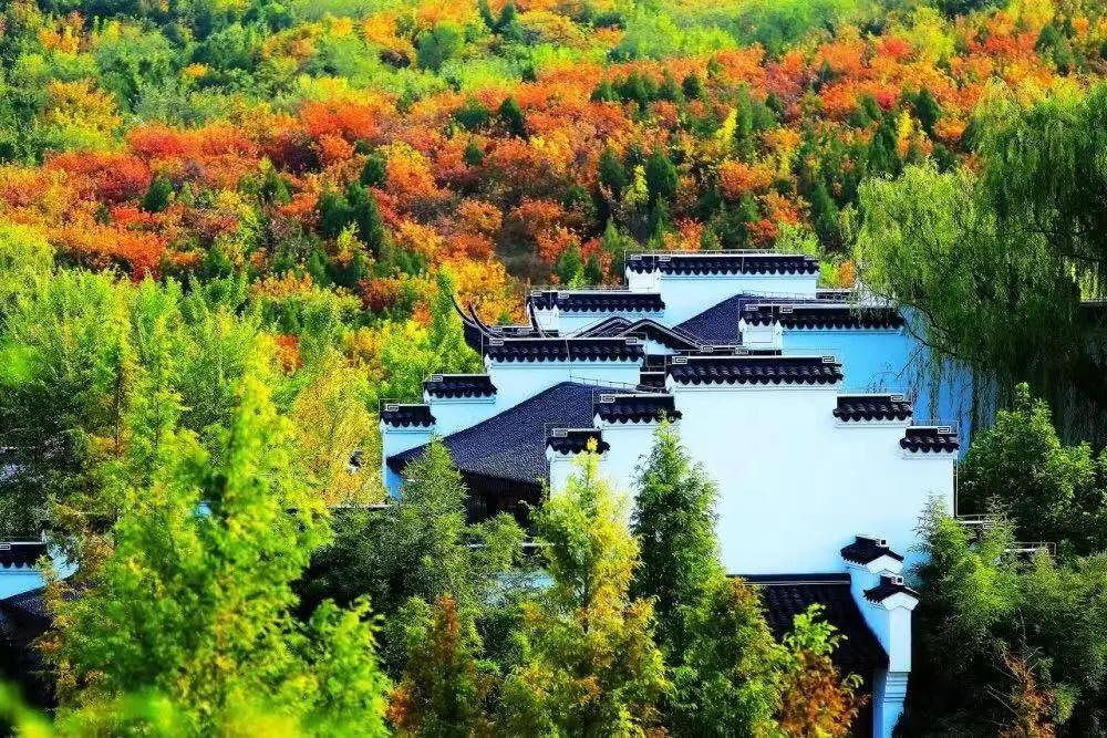 创森进行时丨立冬后，我把丰台的秋，收进了相册里