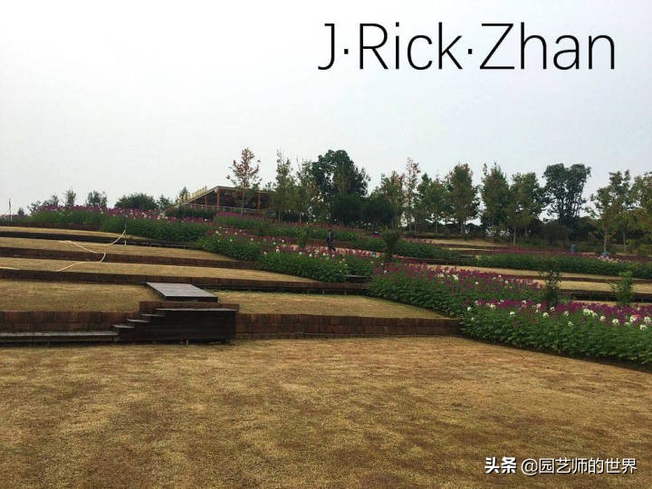 怎样种植草坪技术,果岭草坪的种植养护方法及技巧