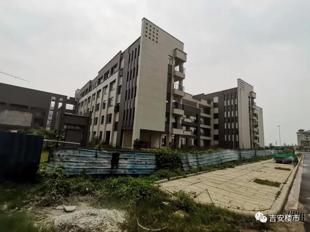 吉安各楼盘附近学校,吉安8中分校学区房