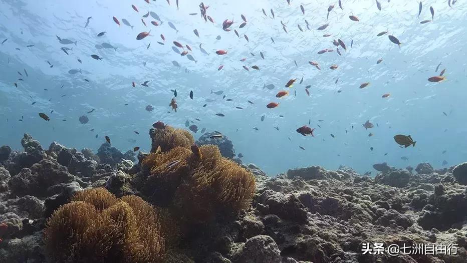 白马庄园,白马庄园店