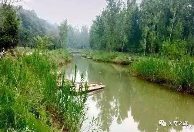 郑州赏荷花攻略,中国赏荷必去的地方