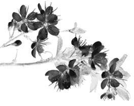 钱氏古民居,钱氏祖宅