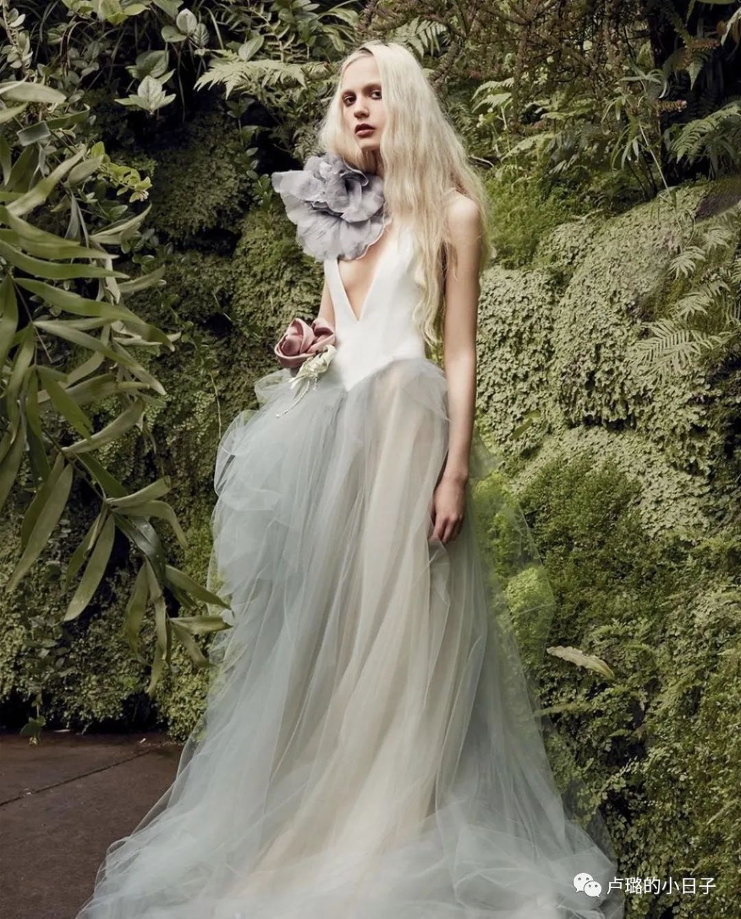 70岁的脸20岁的身材,70岁的身体20岁的身材