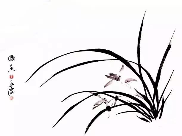 国画兰花绘画图,简单国画兰花画法教程