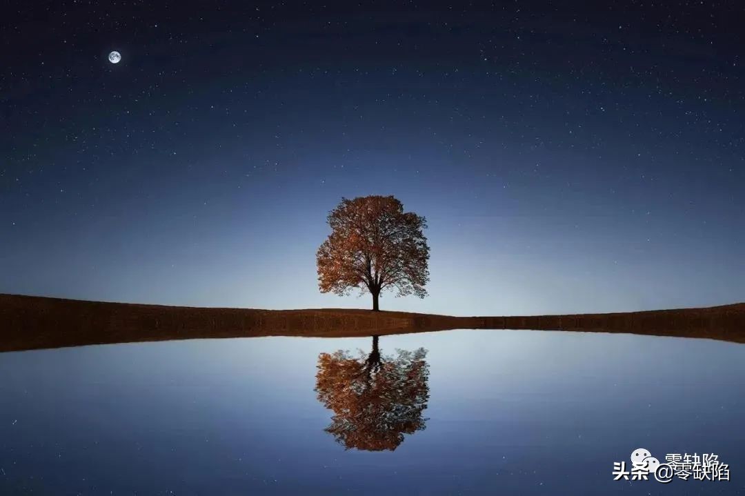 德国企业为什么会长盛不衰,德国百年企业生存到现在的秘诀