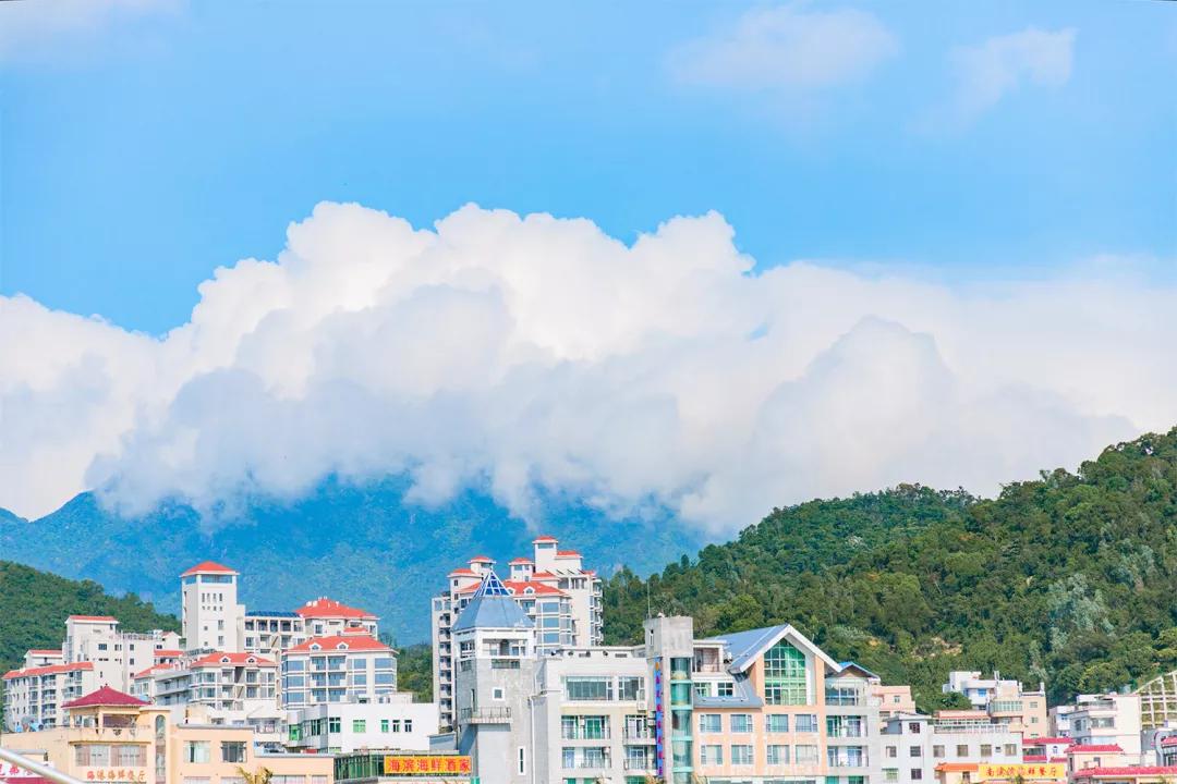 深圳这10条绿道你去过没,深圳十大绿道排行榜