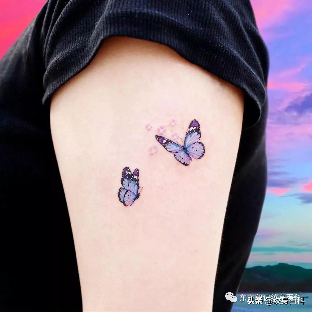 蝴蝶纹身图案代表什么,代表自由的蝴蝶纹身