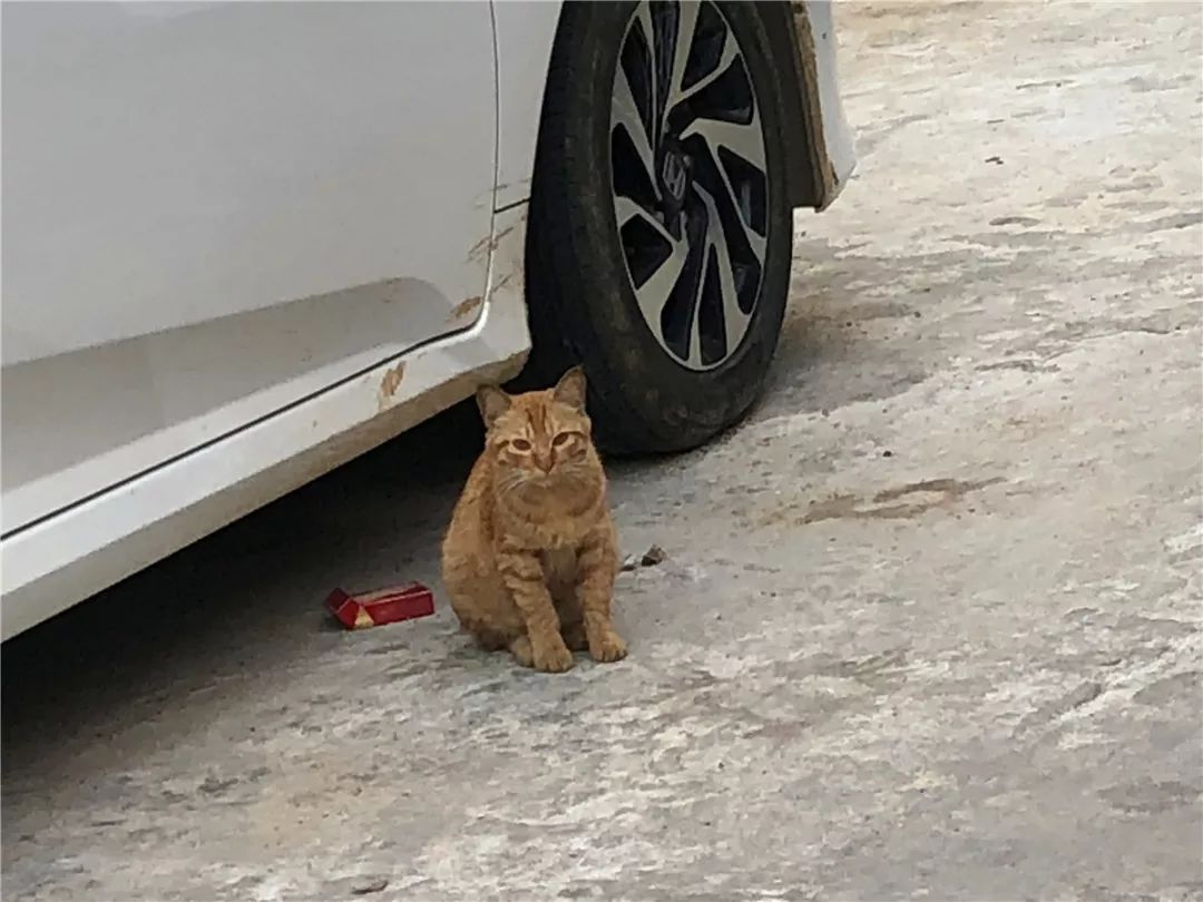 厦门10元店小商品最全批发市场,厦门最大的一级批发市场