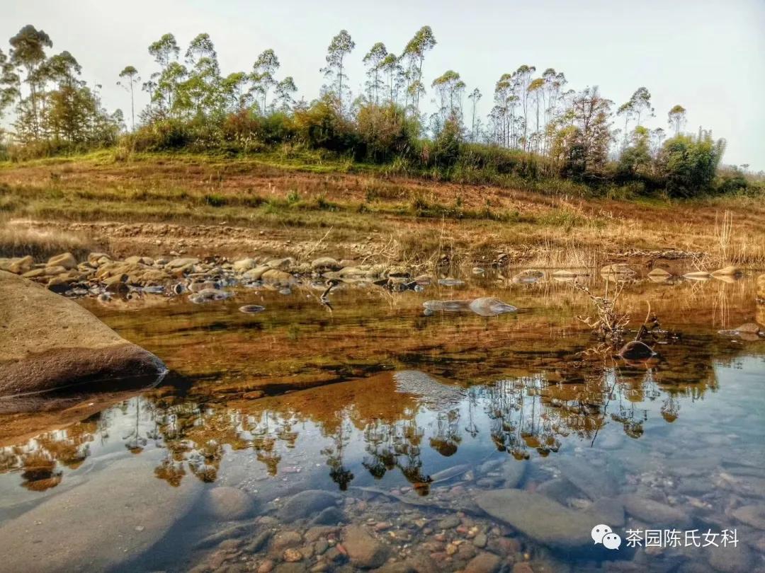 月经太少吃什么补得快,月经不调保护卵巢