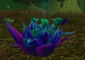 怀旧服费伍德森林萝卜怎么采,费伍德森林怀旧服地图