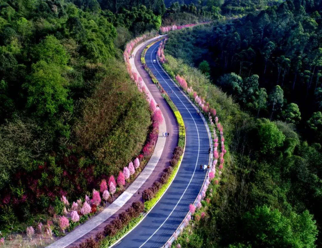 联合推送丨绿心乐心，人人关心——部门网友话绿心