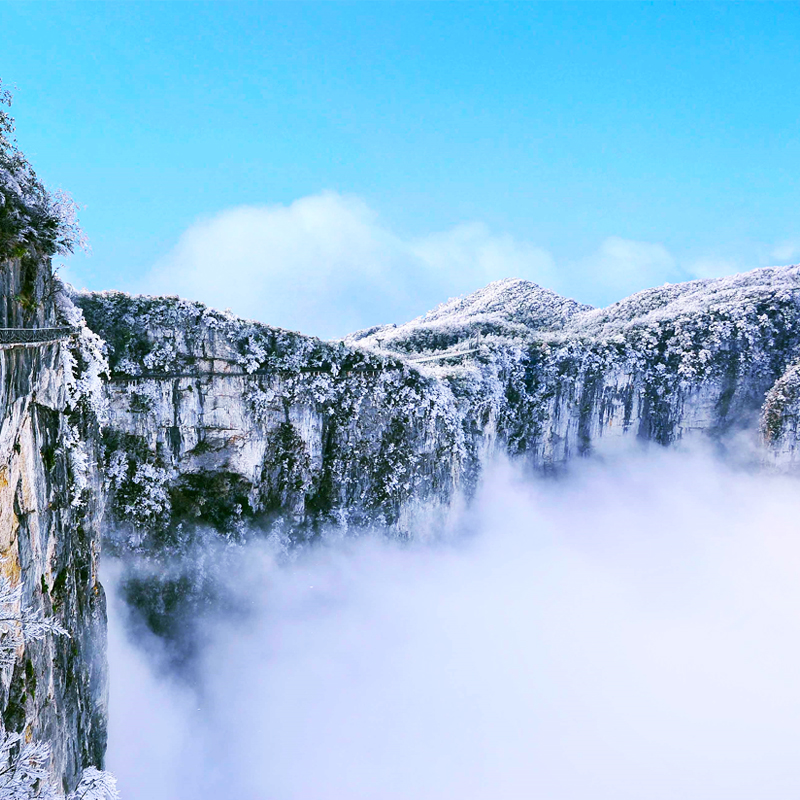 愚人节之后的清明节小长假，机智的小可爱都这么过