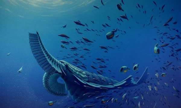 数十头大象神秘死亡,350头大象神秘死亡真相