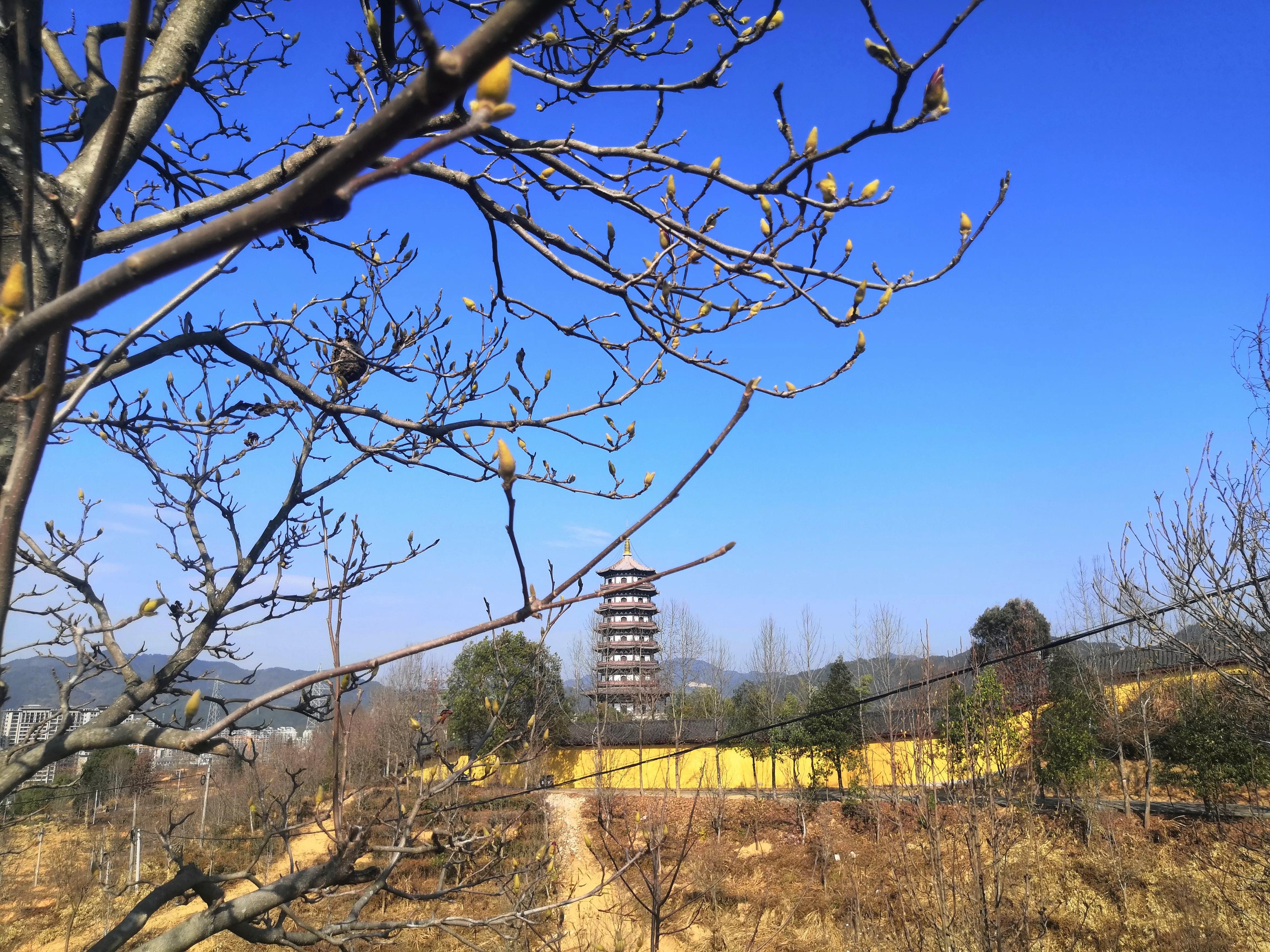 多样化的浙江，浙西南一个安静的小城，龙泉市