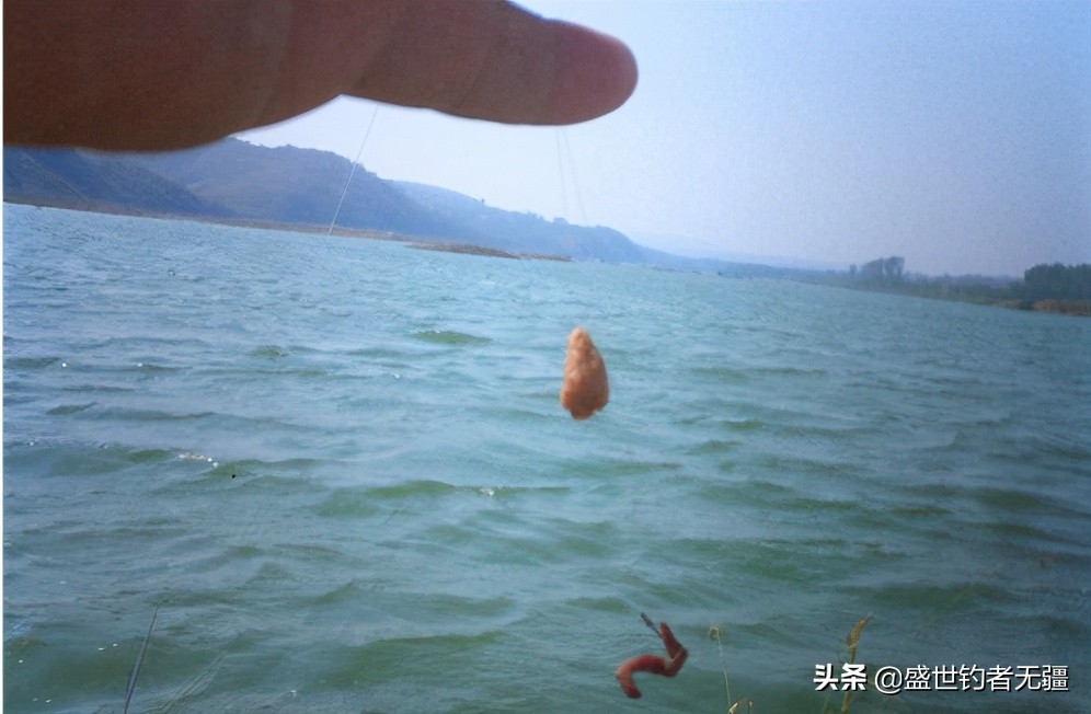 钓小白条要掌握哪些技巧,钓白条的正确方法和技巧