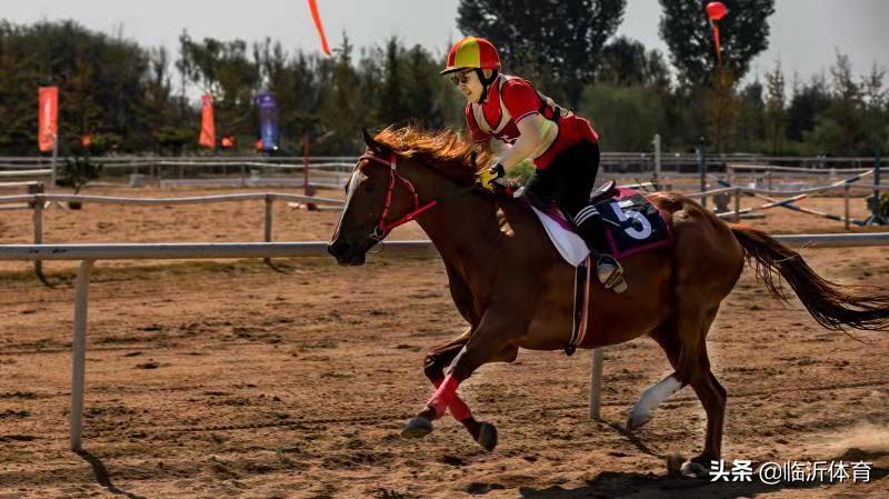 大美临沂摄影大赛,聚焦文明网络摄影大赛优秀作品展