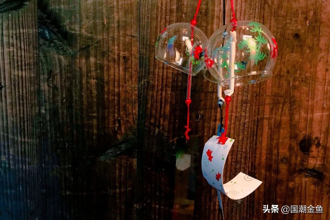 鍥芥疆閲戦奔鎽勫奖,涓浗閲戦奔鎽勫奖