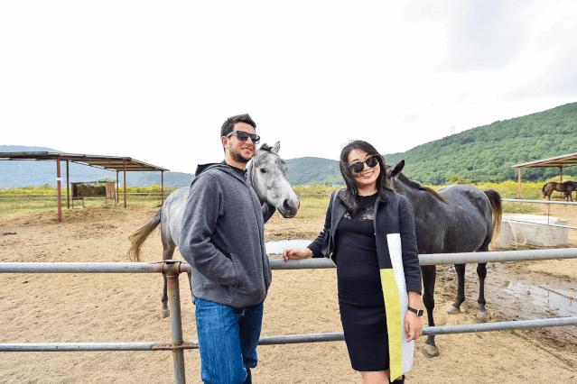 上海马球,上海有马球吗