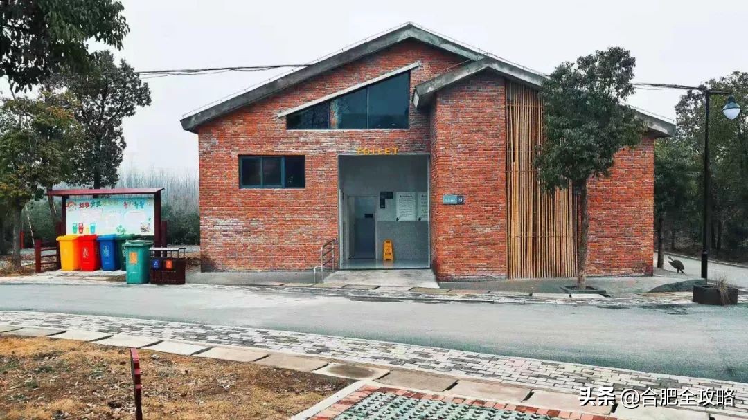 合肥有哪些好玩的地方值得一去,合肥最值得旅游的地方