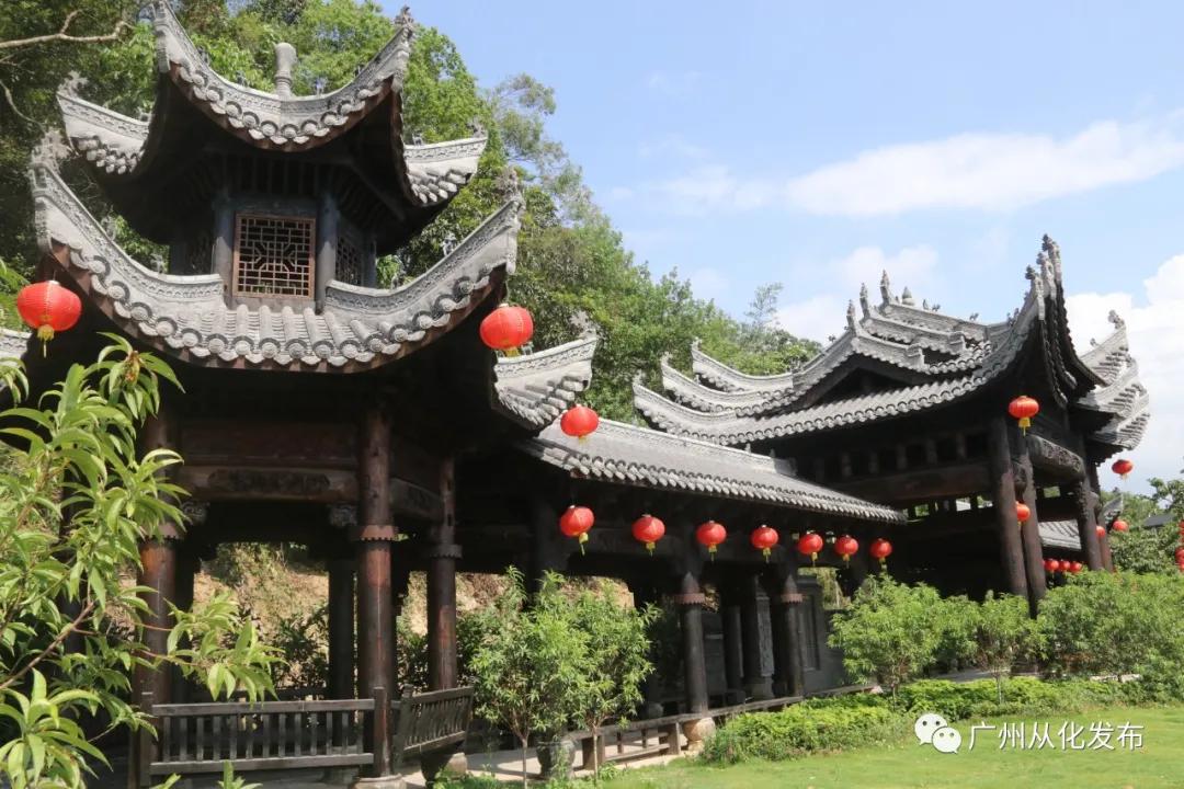 广州从化荔枝公益系列,广州从化公益荔枝