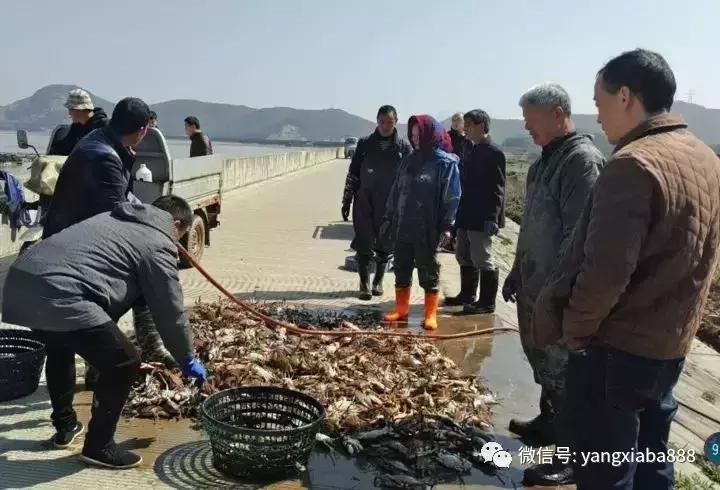 黑科技暴利生意,黑科技挣钱几万元