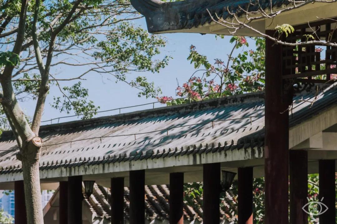 深圳这10条绿道你去过没,深圳十大绿道排行榜