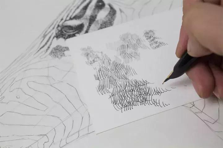 小央美钢笔画视频,极品五大钢笔画简直美爆