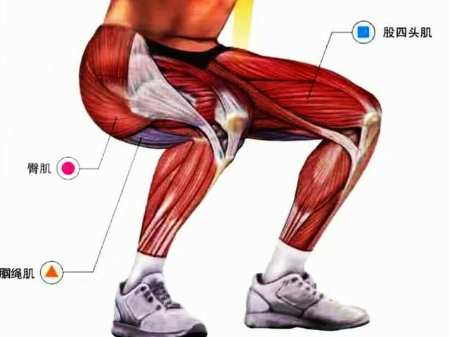 马步蹲与深蹲有何不同的效果,靠墙深蹲的正确锻炼方法