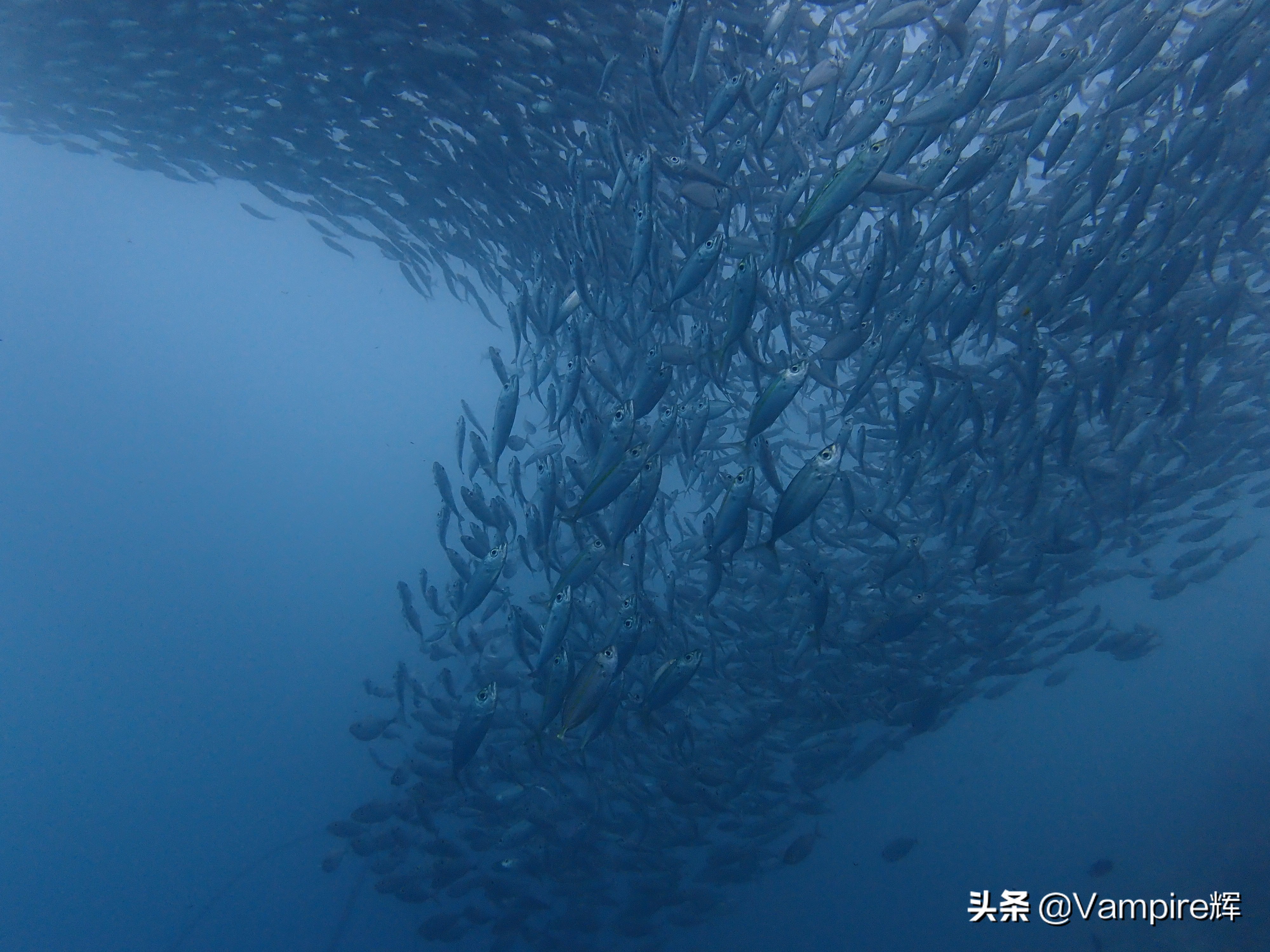 一起云旅游一日游,一起云旅行北极光