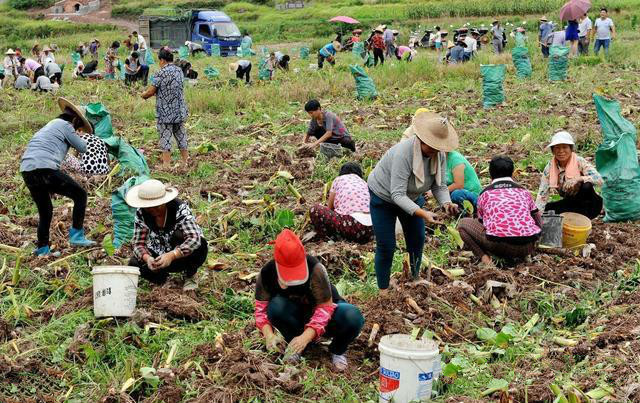 农民的土地被拆迁了怎么办,农民土地被收回怎么办