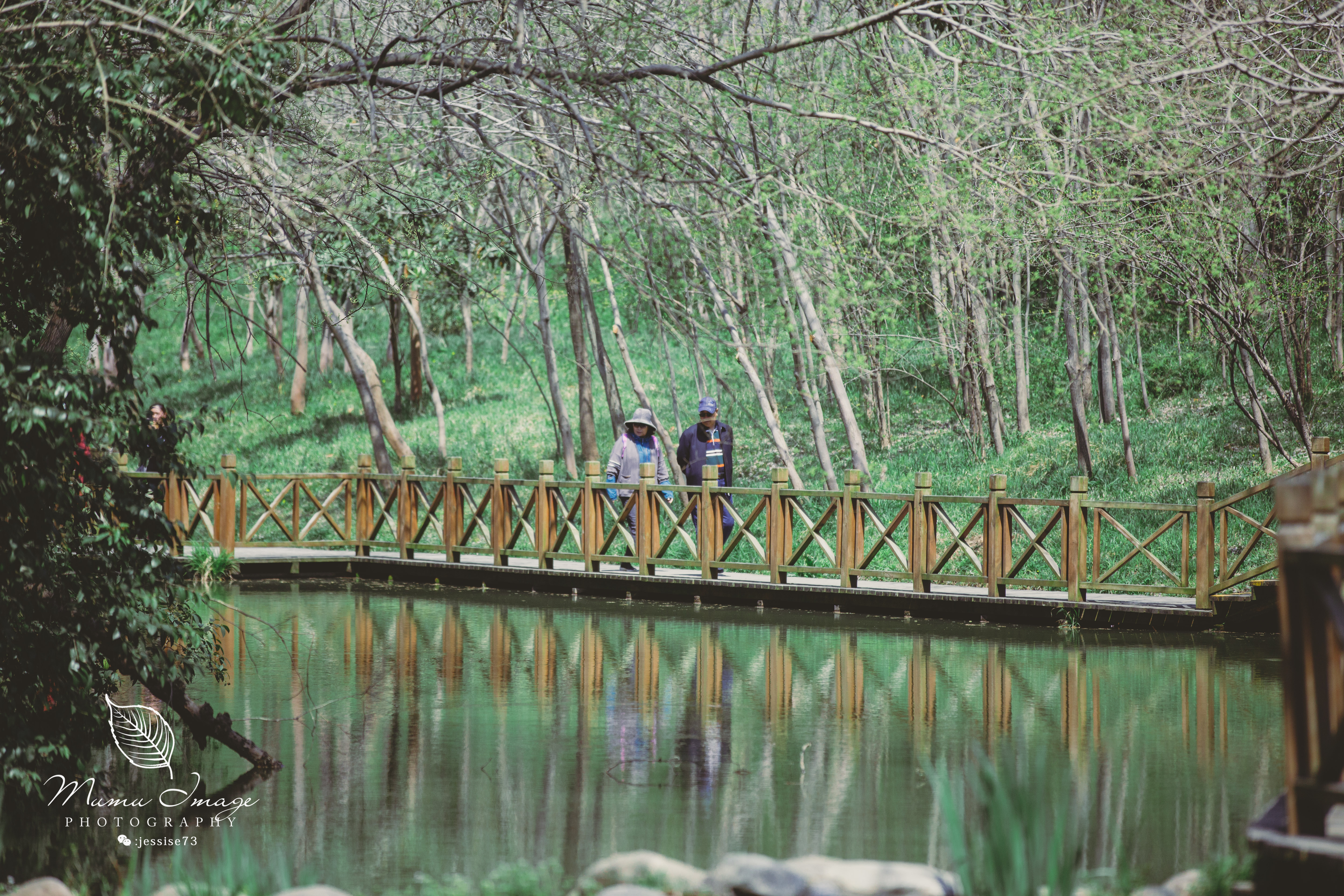 扬州是个不花钱的公园,扬州本地人最喜欢去的公园