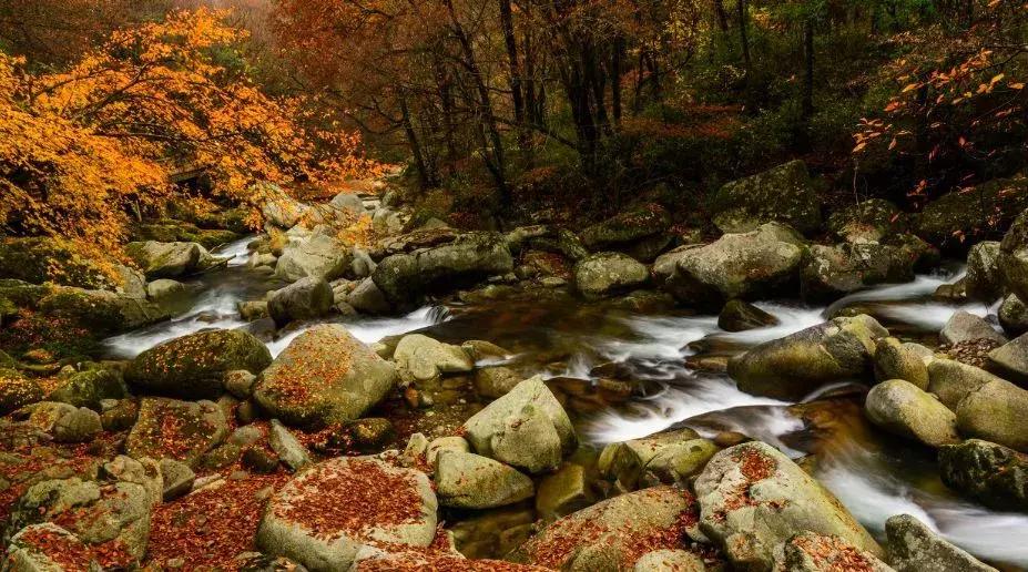 四川巴中为什么被誉为红军之乡,四川巴中出名吗