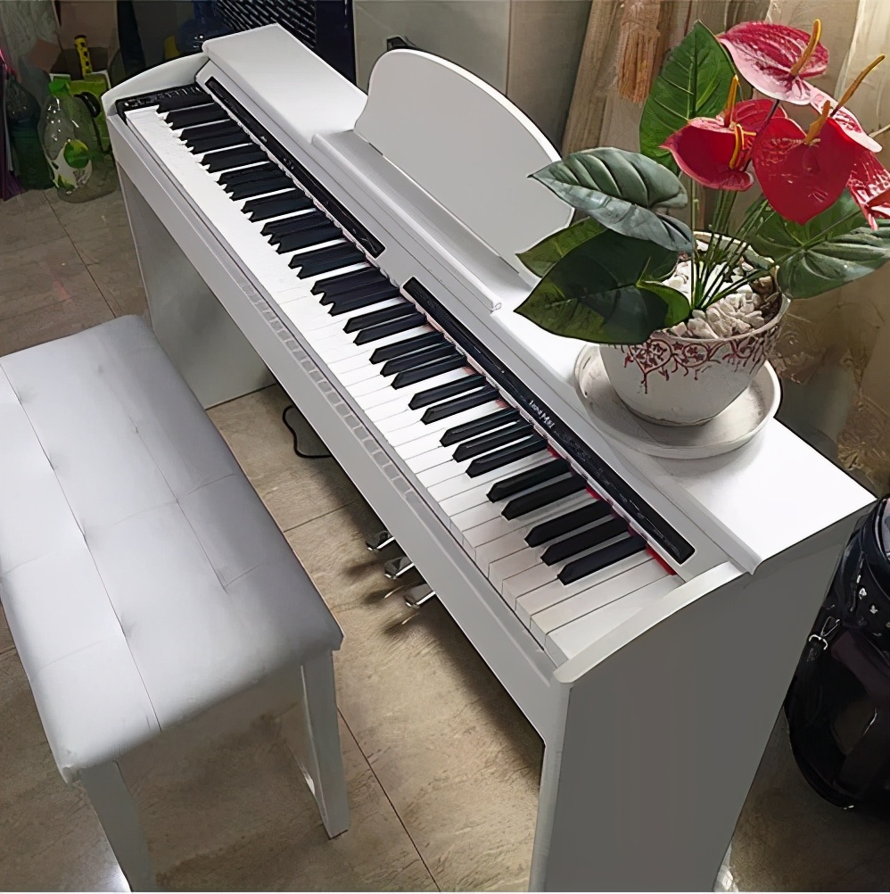 电子琴电钢琴和钢琴的区别,初学者必看电子琴与电钢琴的区别