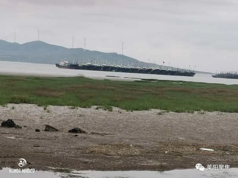 莱阳丁字湾,莱阳丁字湾最新消息