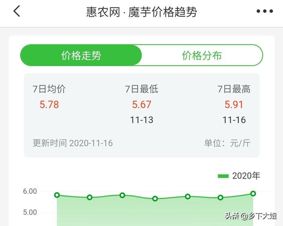 普通魔芋花很臭为什么,魔芋开花有腐臭味