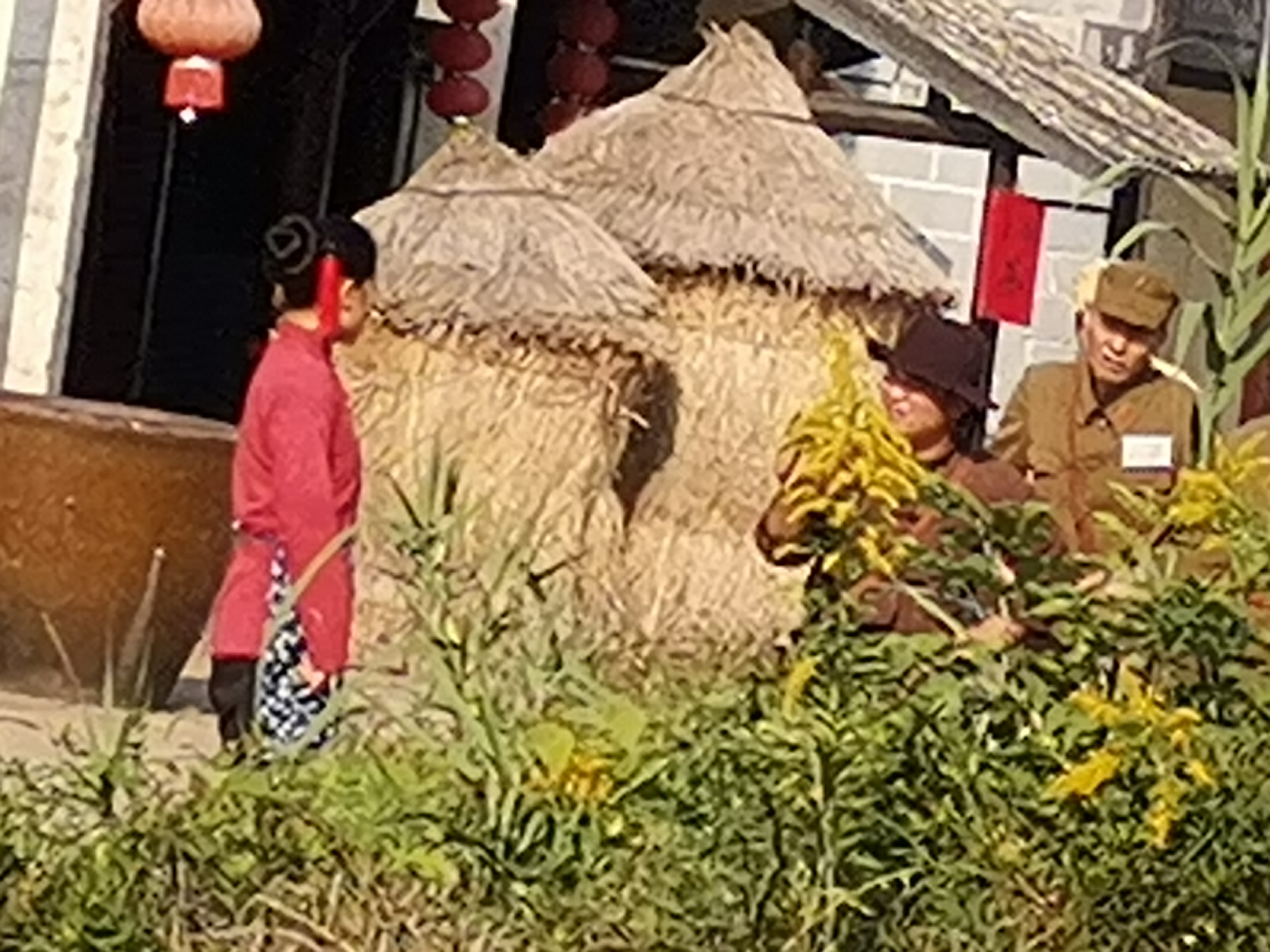 沙家浜故地重游,最经典的沙家浜